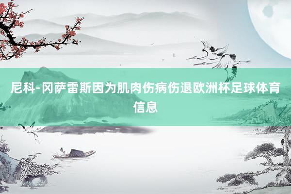 尼科-冈萨雷斯因为肌肉伤病伤退欧洲杯足球体育信息