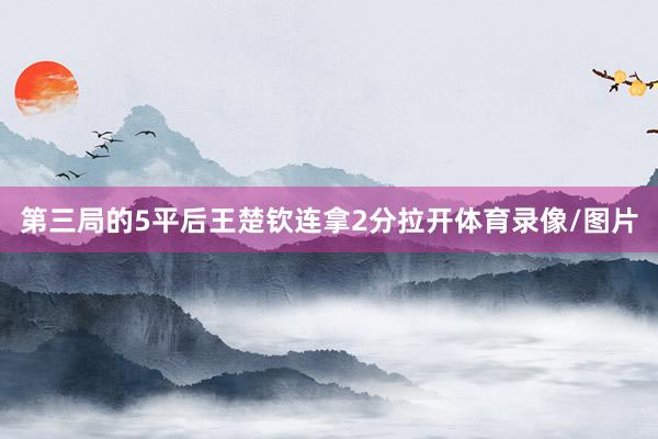 第三局的5平后王楚钦连拿2分拉开体育录像/图片