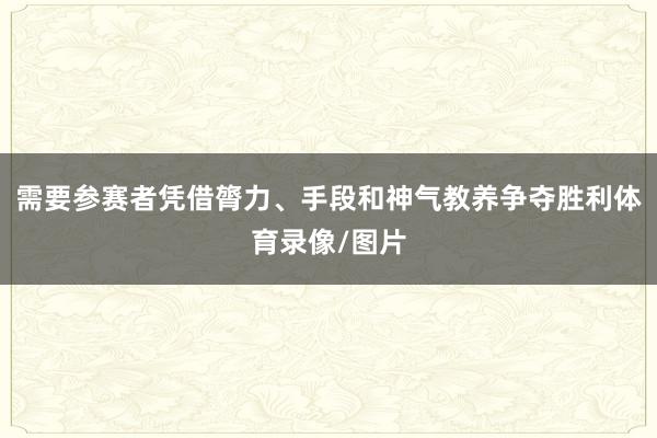 需要参赛者凭借膂力、手段和神气教养争夺胜利体育录像/图片