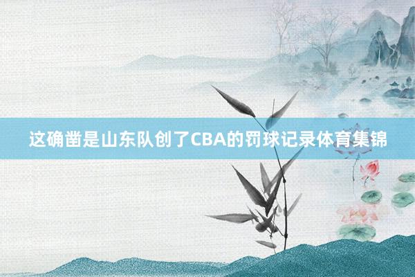 这确凿是山东队创了CBA的罚球记录体育集锦