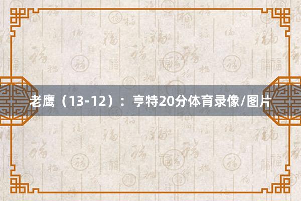 老鹰（13-12）：亨特20分体育录像/图片