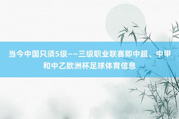 当今中国只须5级——三级职业联赛即中超、中甲和中乙欧洲杯足球体育信息