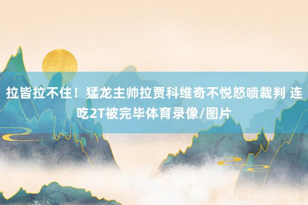 拉皆拉不住！猛龙主帅拉贾科维奇不悦怒喷裁判 连吃2T被完毕体育录像/图片