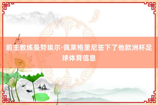 前主教练曼努埃尔·佩莱格里尼签下了他欧洲杯足球体育信息