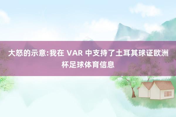 大怒的示意:我在 VAR 中支持了土耳其球证欧洲杯足球体育信息