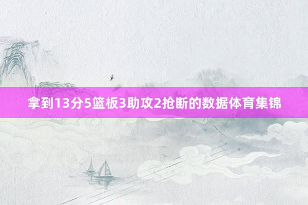 拿到13分5篮板3助攻2抢断的数据体育集锦