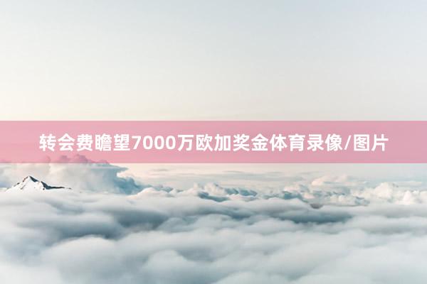 转会费瞻望7000万欧加奖金体育录像/图片