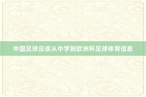 中国足球应该从中学到欧洲杯足球体育信息