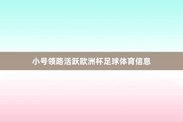 小号领路活跃欧洲杯足球体育信息